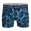 Schwarz/Blau