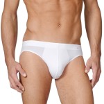 Calida Evolution Brief 21660