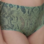 Chantelle Soft Stretch Panties