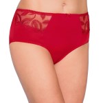 Felina Choice Brief