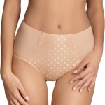 Anita Airita High Waist Brief Plus