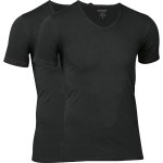 2-Pakning JBS Bamboo T-shirt V-Neck