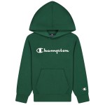 Champion Classics Hooded Sweatshirt For Boys