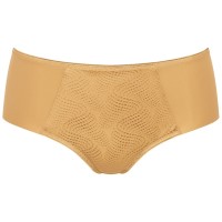 Triumph Essential Minimizer Hipster