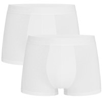 2-Pak Stedman Dexter Boxer For Men