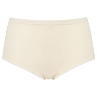 Damella High Waist Maxi Brief