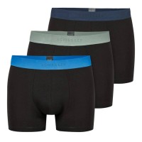 3-Pakning Schiesser 95-5 Organic Cotton Woven Shorts