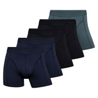 5-er-Pack Claudio Trunks
