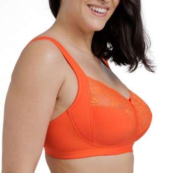Miss Mary Lovely Lace Soft Bra