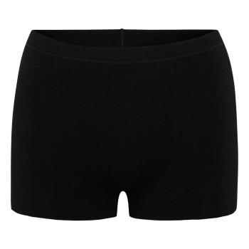 Pierre Robert Cotton Boxer