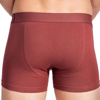 Bread and Boxers Boxer Briefs 