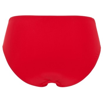 Damella Rachel Basic Brief
