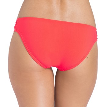 Triumph Folk Festival Mini Briefs
