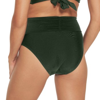 Wiki Basic Tai Brief De Luxe