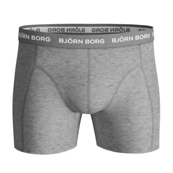 Björn Borg Essential Shadeline Shorts