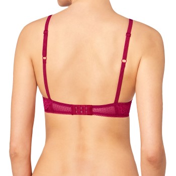 Triumph Seduction Darling Spotlight WHP 01