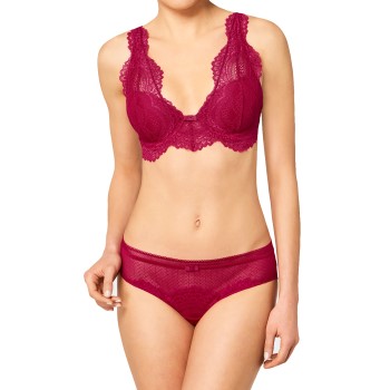Triumph Seduction Darling Spotlight WHP 01