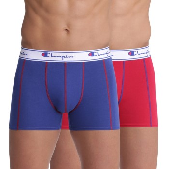 Champion Everyday Boxer