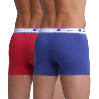 Champion Everyday Boxer