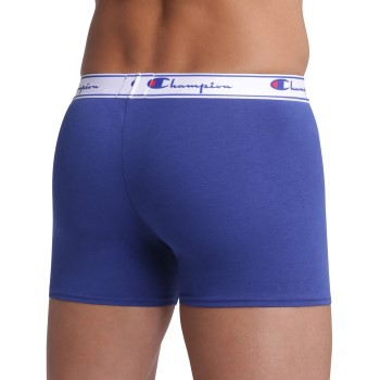 Champion Everyday Boxer