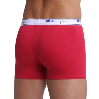 Champion Everyday Boxer