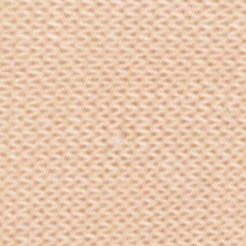 Falke Women Step No Show Socks Medium Cut