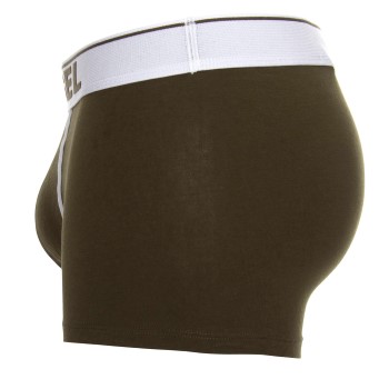 Diesel Fresh and Bright Damien Boxer Trunks