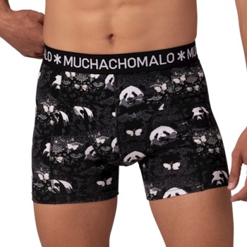 Muchachomalo Cotton Stretch Golden Boxers