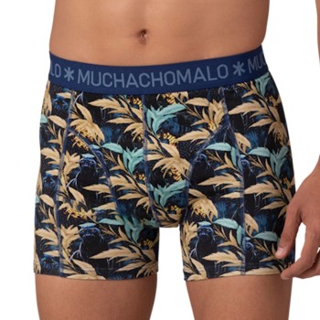 Muchachomalo Cotton Stretch Golden Boxers