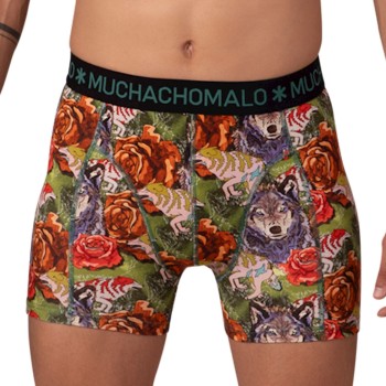 Muchachomalo Cotton Stretch Golden Boxers