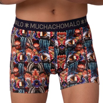 Muchachomalo Cotton Stretch Golden Boxers
