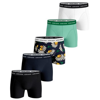 5-er-Pack Björn Borg Essential Shorts 2115