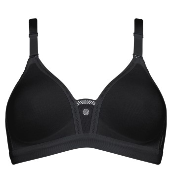 Triumph Triaction Studio Trophy N