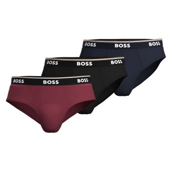 BOSS Power Brief 