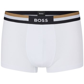 BOSS Trunk Motion
