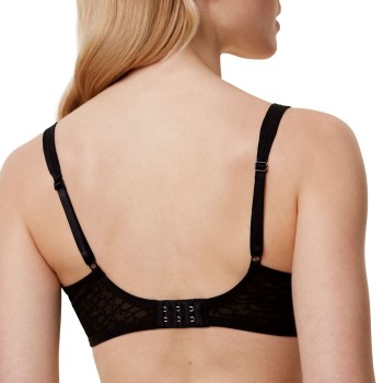 Triumph Signature Sheer W01 EX