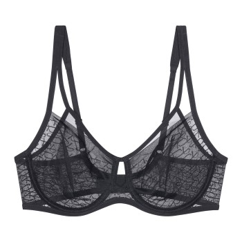 Triumph Signature Sheer W01 EX