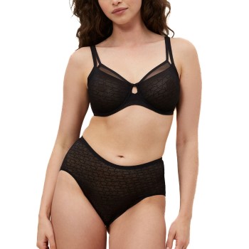Triumph Signature Sheer W01 EX