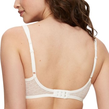 Triumph Signature Sheer W01 EX