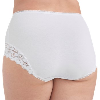 Miss Mary Lace Dreams Panty