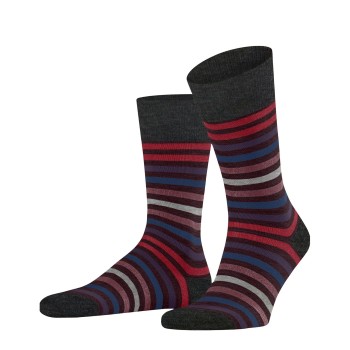 Falke Stripe Socks