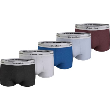 Calvin Klein Modern CS Holiday Trunk