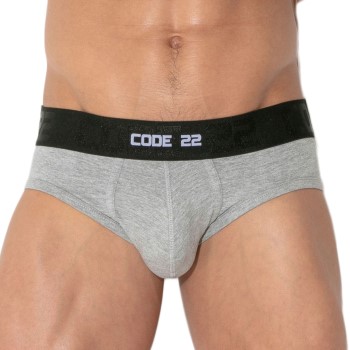 Code 22 Essential Brief
