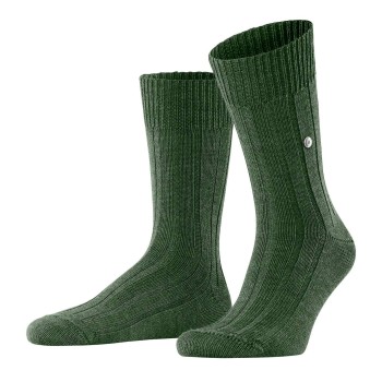 Burlington Dover Socks