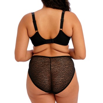 Elomi Lucie High Leg Brief