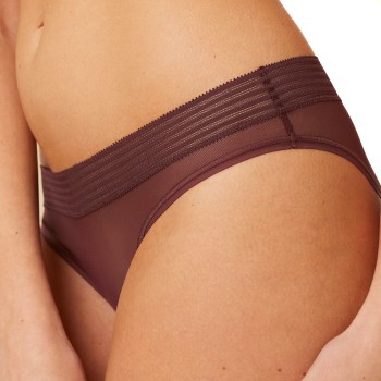 Triumph Tempting Sheer Highleg Tai