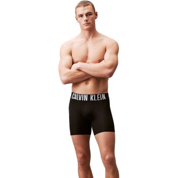 Calvin Klein Intense Power Boxer Briefs