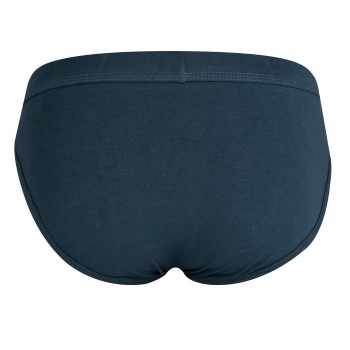 FILA Basic Brief