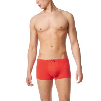 Bruno Banani Check Line 2 0 Hipshort