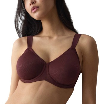Triumph Essential Minimizer T W X 